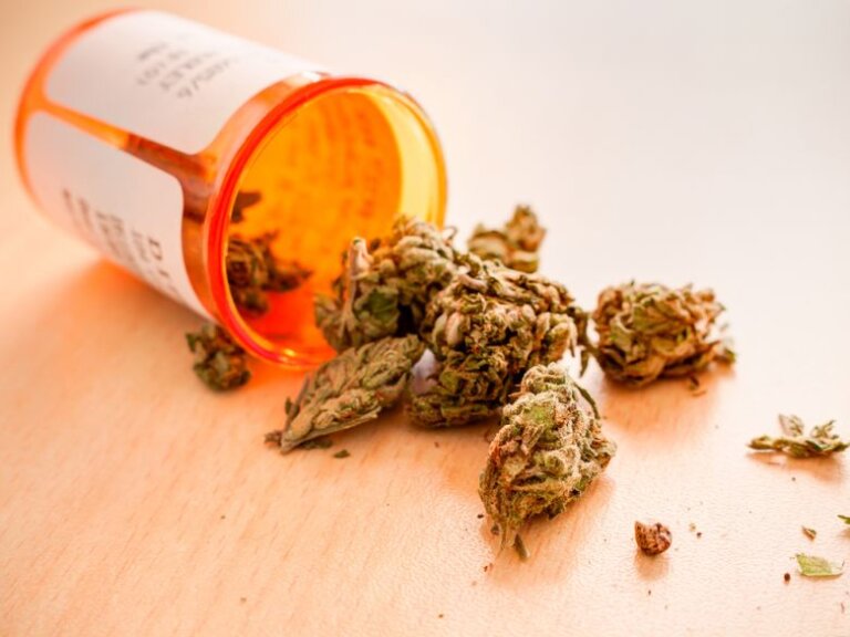 Professional Fees or Payola? Medical Cannabis Industry’s Secret Kickbacks