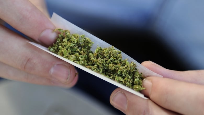 Marijuana Rolling A Joint