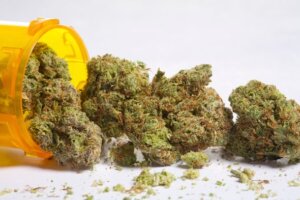 Is Cannabis the Solution to the Opioid Crisis?