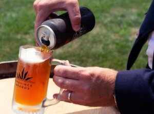 Province Brands of Canada said it has developed a cannabis-brewed beer. Unlike cananbis-infused beers, this will be brewed using cannabis instead of barley or other grains.