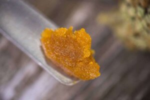 Tantalus Labs and Valens GroWorks announce partnership to produce cannabis extracts