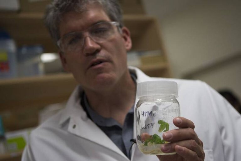 Aurora to Build Cannabis Genetics Lab at Former CanniMed Facility