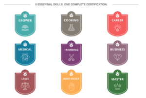 Cannabis degrees and programs in the US a sign of the times.
