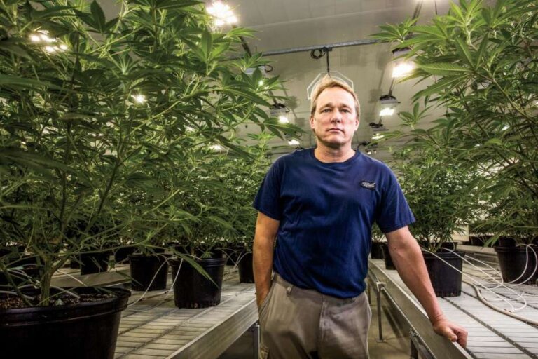 Bruce Linton on the Future of Cannabis