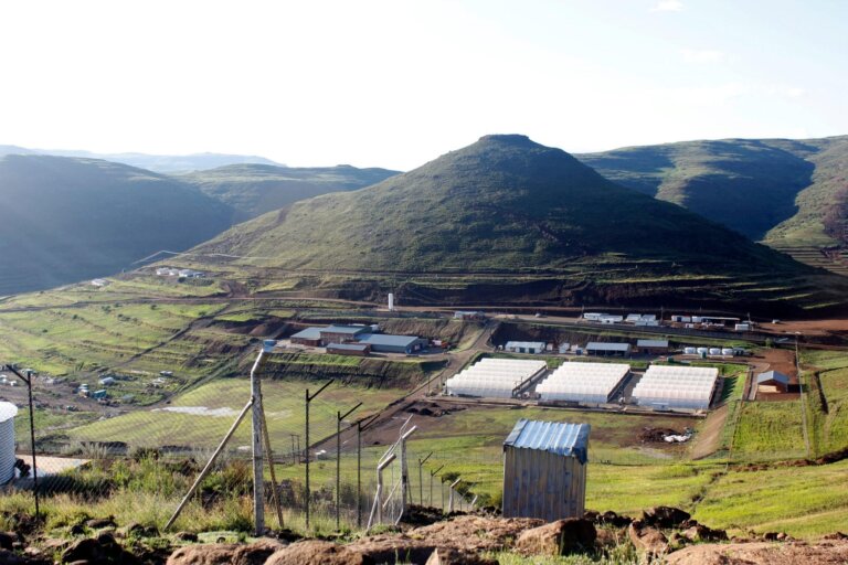 Lesotho Cannabis Opportunities an Open Secret