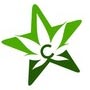 CStar Cannabis