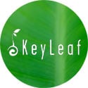 POS Management (KeyLeaf)