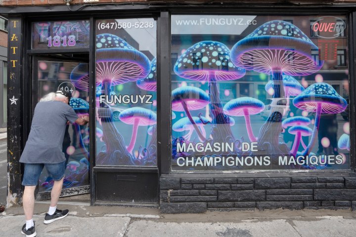 ‘Magic mushrooms’ are still illegal in Canada. How can stores be opening?