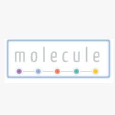 Molecule