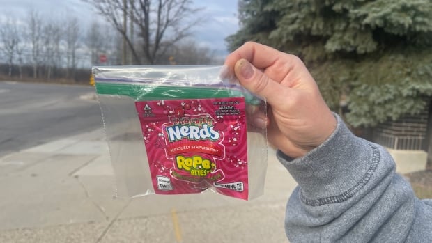 Woman who accidentally gave out cannabis edibles to Winnipeg trick-or-treaters sentenced to $5K in fines