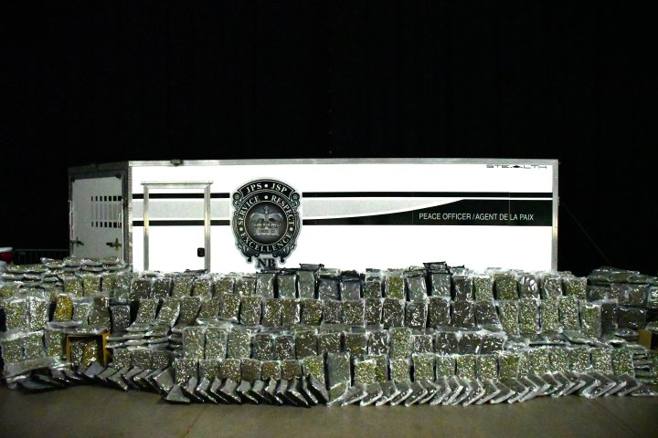 New Brunswick illegal cannabis seizure ‘largest’ ever in Atlantic Canada