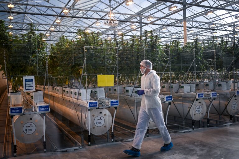 Shareholders push back against high pay at some of Canada’s largest cannabis companies