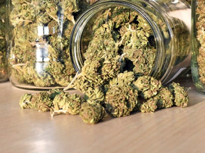 Mi’kmaw man gets house arrest after failing to argue ‘aboriginal right to traffic in cannabis’