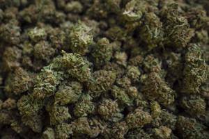 Cannabis hidden in luggage and Canadians recruited as couriers: Is Canada’s legal weed tied to a smuggling epidemic abroad?