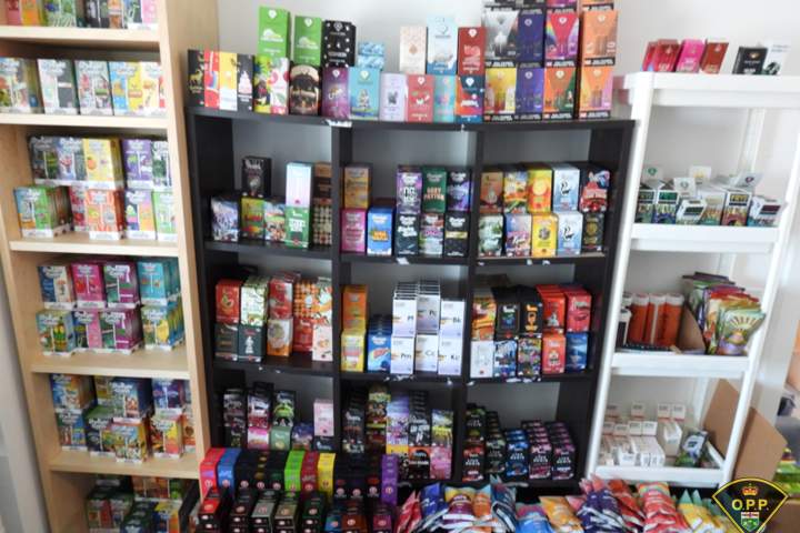 Police seize $8M in illicit cannabis after busting alleged network from Ontario to Nova Scotia