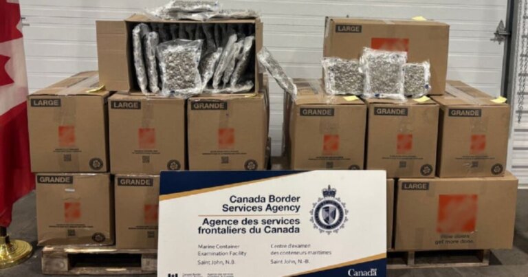 Border agents seize more than 200kg of cannabis in Saint John