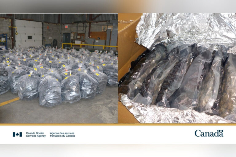 Canada Border Agency Seizes 2,700 Kilos of Cannabis Destined for UK