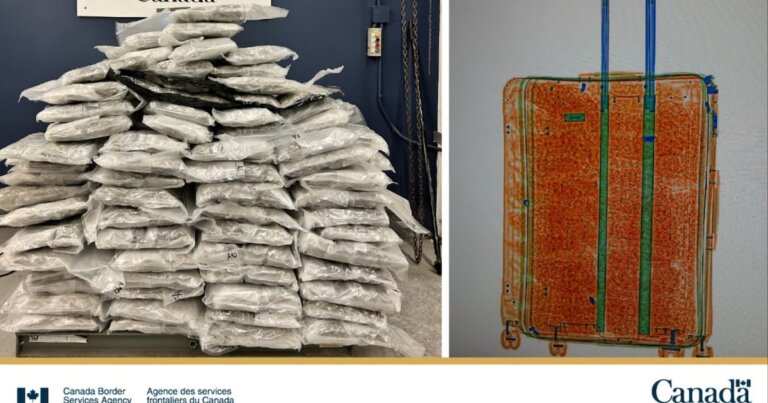 More than 1K kilos of illegal cannabis seized at Toronto Pearson, commercial shipments: CBSA
