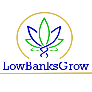 Lowbanks Grow